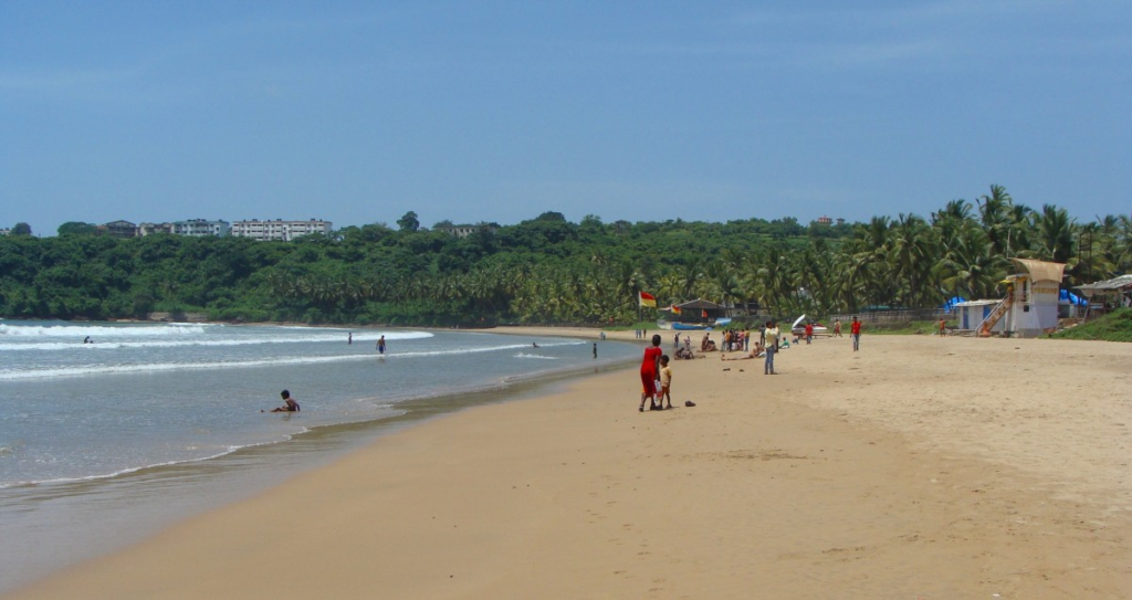 Sunny Goa beach with palm trees and clear blue sky